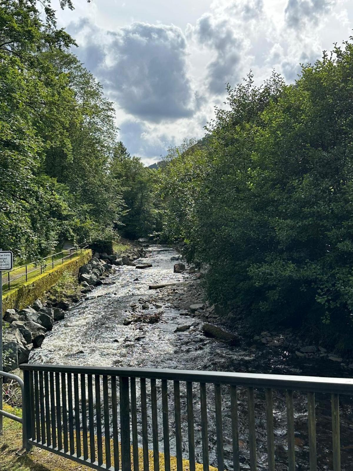 Ferienbutzen Harz Heikenberg, Bad Lauterberg Mit Schwimmbad Und Sauna エクステリア 写真