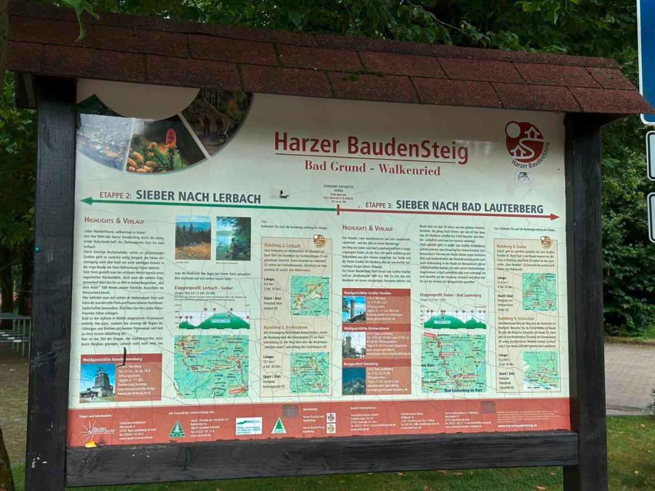 Ferienbutzen Harz Heikenberg, Bad Lauterberg Mit Schwimmbad Und Sauna エクステリア 写真